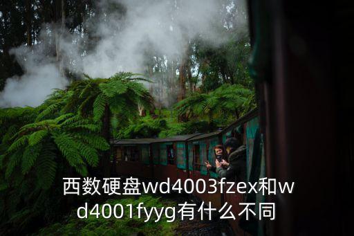 西數(shù)大數(shù)據(jù)中心,西數(shù)數(shù)據(jù)中心硬盤和普通硬盤有什么區(qū)別