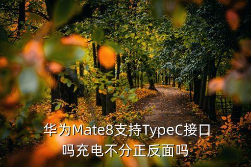  華為Mate8支持TypeC接口嗎充電不分正反面嗎