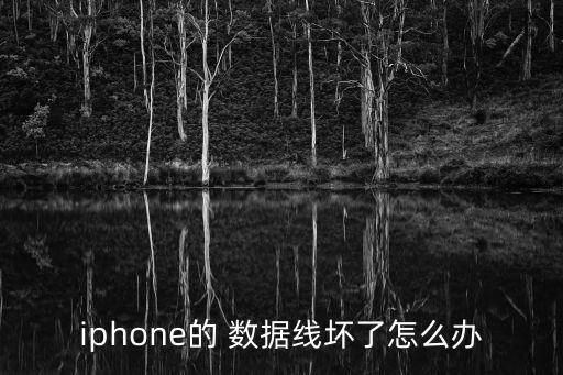 iphone的 數(shù)據(jù)線壞了怎么辦