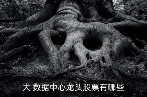 大 數(shù)據(jù)中心龍頭股票有哪些