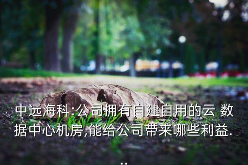 中遠(yuǎn)?？?公司擁有自建自用的云 數(shù)據(jù)中心機(jī)房,能給公司帶來哪些利益...