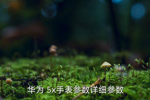  華為 5x手表參數(shù)詳細(xì)參數(shù)