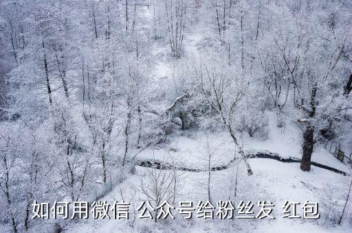 公眾號自動發(fā)紅包功能