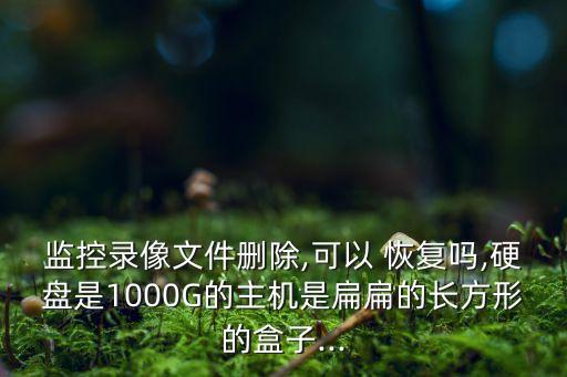 監(jiān)控錄像文件刪除,可以 恢復(fù)嗎,硬盤是1000G的主機是扁扁的長方形的盒子...