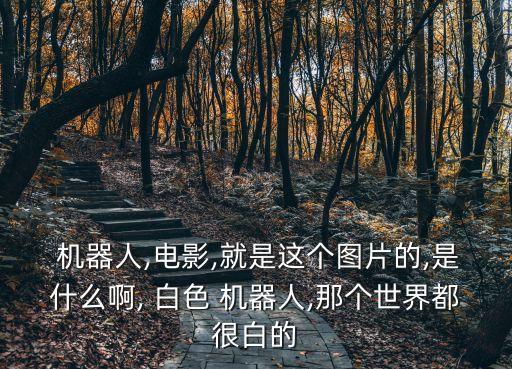  機(jī)器人,電影,就是這個(gè)圖片的,是什么啊, 白色 機(jī)器人,那個(gè)世界都很白的