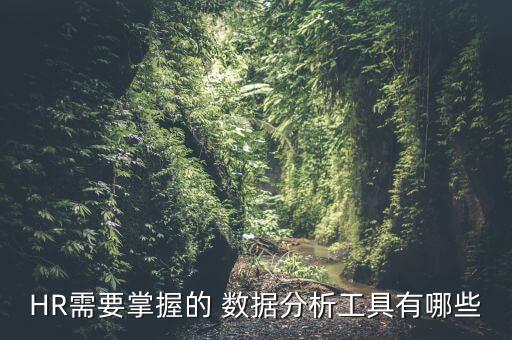 人力資源數(shù)據(jù)分析技能