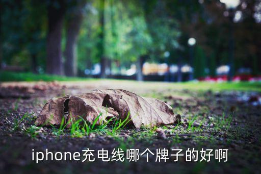 最貴的蘋(píng)果數(shù)據(jù)線,蘋(píng)果最貴的平板