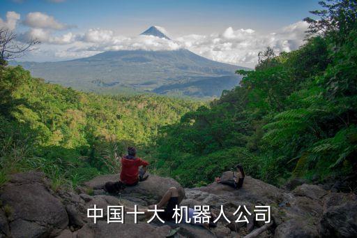 中國(guó)十大 機(jī)器人公司