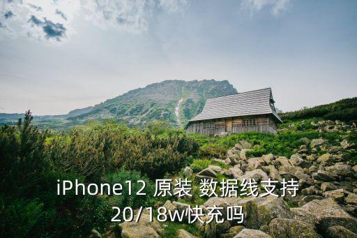 iPhone12 原裝 數(shù)據(jù)線支持20/18w快充嗎