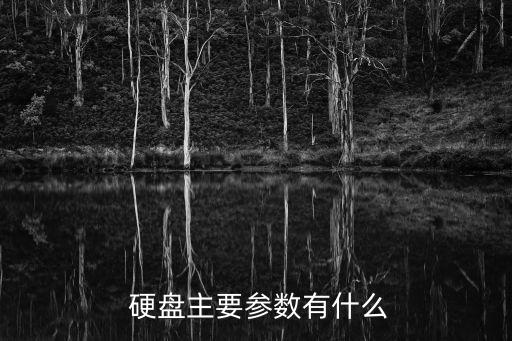  硬盤(pán)主要參數(shù)有什么
