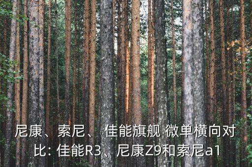 尼康、索尼、 佳能旗艦 微單橫向對比: 佳能R3、尼康Z9和索尼a1