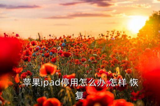 蘋果平板里面數(shù)據(jù)恢復(fù)