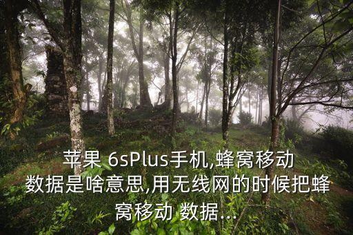 蘋果6s怎么關(guān)閉數(shù)據(jù)連接
