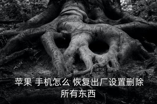  蘋果 手機怎么 恢復出廠設置刪除所有東西