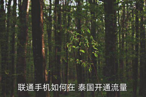 聯(lián)通手機(jī)如何在 泰國(guó)開(kāi)通流量