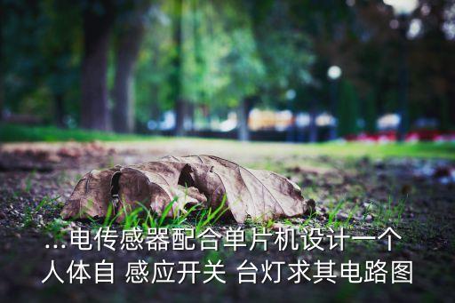 ...電傳感器配合單片機(jī)設(shè)計一個 人體自 感應(yīng)開關(guān) 臺燈求其電路圖