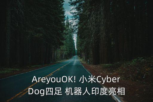 小米機器人開發(fā),小米掃地機器人哪一款好