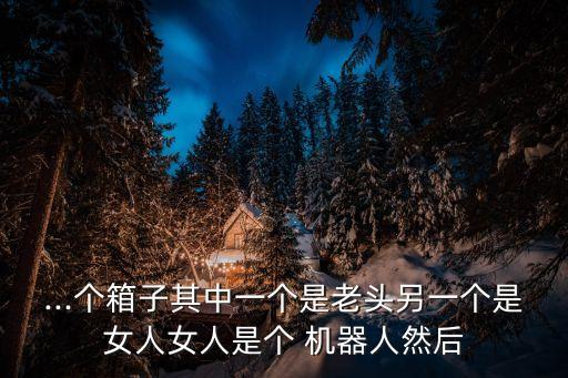 ...個(gè)箱子其中一個(gè)是老頭另一個(gè)是女人女人是個(gè) 機(jī)器人然后
