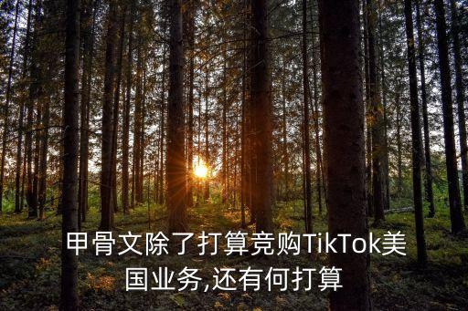  甲骨文除了打算競購TikTok美國業(yè)務(wù),還有何打算