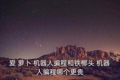 佛山蘿卜機(jī)器人,元蘿卜下棋機(jī)器人下架