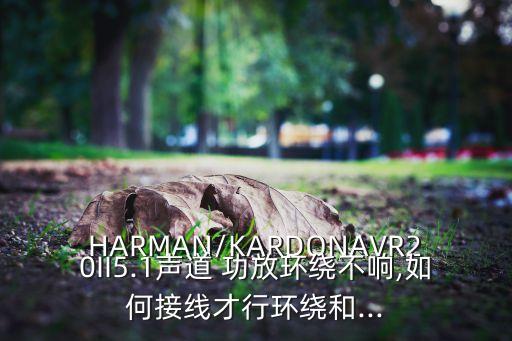 哈曼卡頓功放數(shù)據(jù)線,老式哈曼卡頓功放