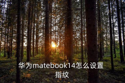 華為matebook14怎么設(shè)置 指紋