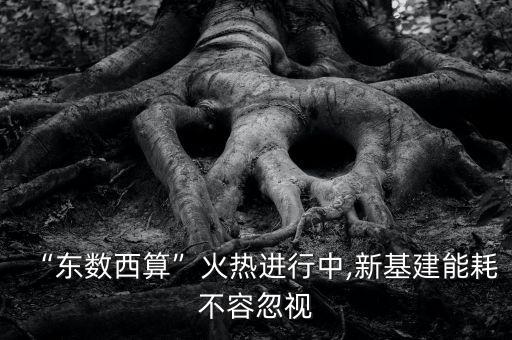 “東數(shù)西算”火熱進(jìn)行中,新基建能耗不容忽視