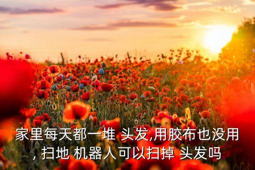 家里每天都一堆 頭發(fā),用膠布也沒(méi)用, 掃地 機(jī)器人可以掃掉 頭發(fā)嗎