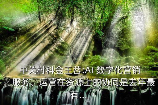  中關(guān)村科金王蓉:AI 數(shù)字化營(yíng)銷(xiāo)、服務(wù)、運(yùn)營(yíng)在資源上的協(xié)同是去年最有...
