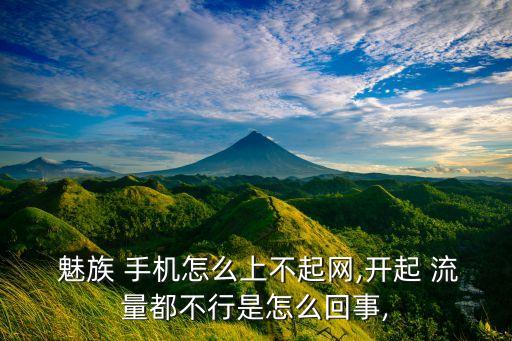  魅族 手機(jī)怎么上不起網(wǎng),開起 流量都不行是怎么回事,