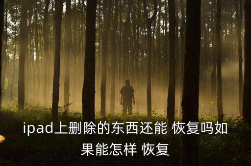 ipad上刪除的東西還能 恢復嗎如果能怎樣 恢復