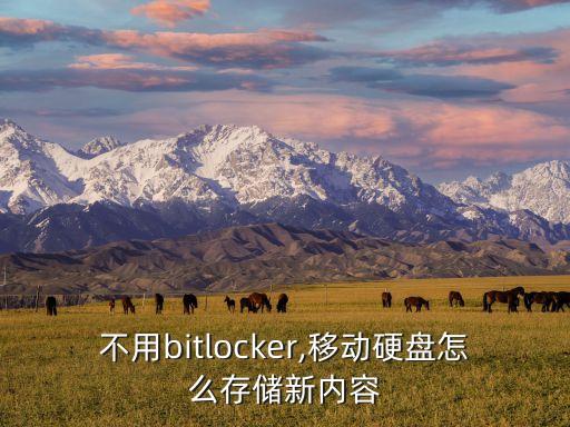 不用bitlocker,移動硬盤怎么存儲新內容