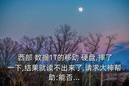  西部 數(shù)據(jù)1T的移動 硬盤,摔了一下,結(jié)果就讀不出來了,請求大神幫助:能否...