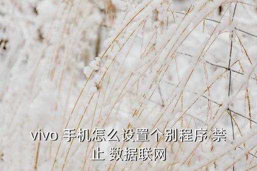 vivo 手機(jī)怎么設(shè)置個(gè)別程序 禁止 數(shù)據(jù)聯(lián)網(wǎng)
