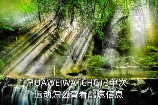 HUAWEIWATCHGT3單次 運(yùn)動(dòng)怎么查看配速信息