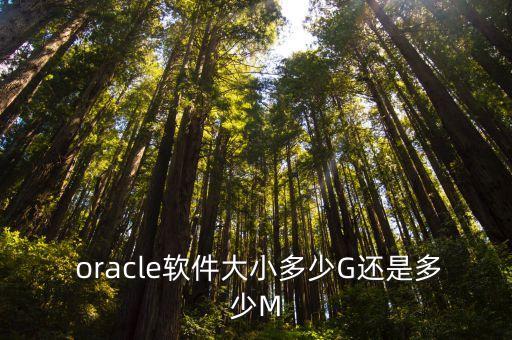 oracle數(shù)據(jù)庫容量估算,如何查看數(shù)據(jù)庫容量 oracle