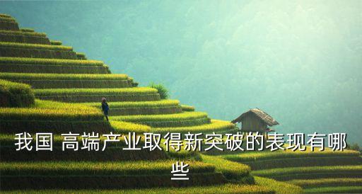 我國(guó) 高端產(chǎn)業(yè)取得新突破的表現(xiàn)有哪些