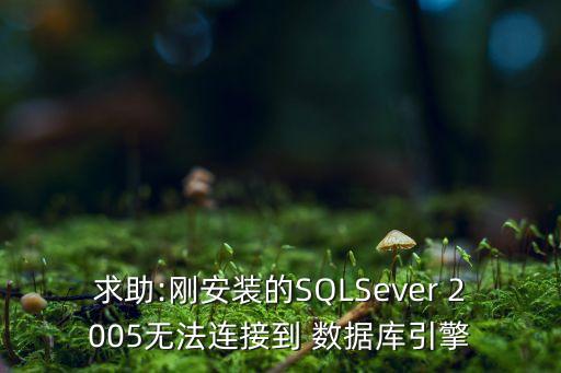 求助:剛安裝的SQLSever 2005無法連接到 數(shù)據(jù)庫引擎