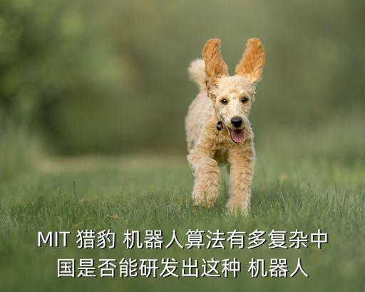 MIT 獵豹 機器人算法有多復雜中國是否能研發(fā)出這種 機器人