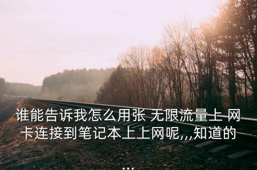 誰能告訴我怎么用張 無限流量上 網(wǎng)卡連接到筆記本上上網(wǎng)呢,,,知道的...