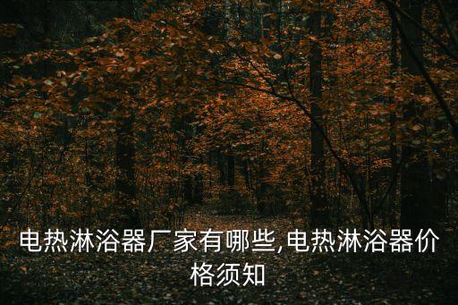 電熱淋浴器廠家有哪些,電熱淋浴器價(jià)格須知