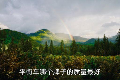 平衡車哪個牌子的質(zhì)量最好
