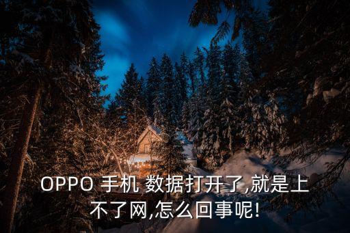 OPPO 手機 數(shù)據(jù)打開了,就是上不了網(wǎng),怎么回事呢!