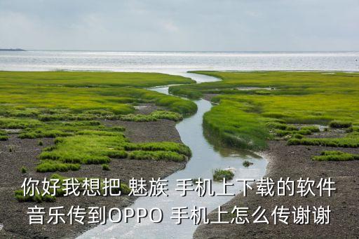 魅族手機數(shù)據(jù)轉(zhuǎn)移oppo,魅族換三星手機數(shù)據(jù)轉(zhuǎn)移