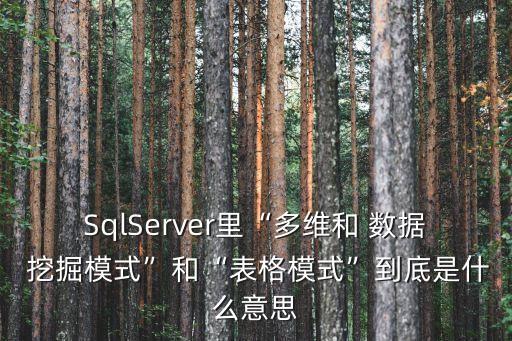 SqlServer里“多維和 數(shù)據(jù) 挖掘模式”和“表格模式”到底是什么意思