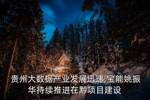  貴州大數(shù)據(jù)產(chǎn)業(yè)發(fā)展迅速,寶能姚振華持續(xù)推進(jìn)在黔項(xiàng)目建設(shè)