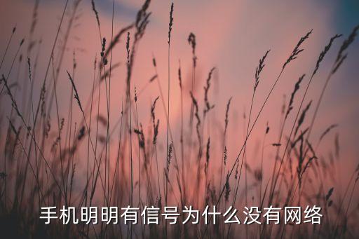  手機(jī)明明有信號(hào)為什么沒有網(wǎng)絡(luò)