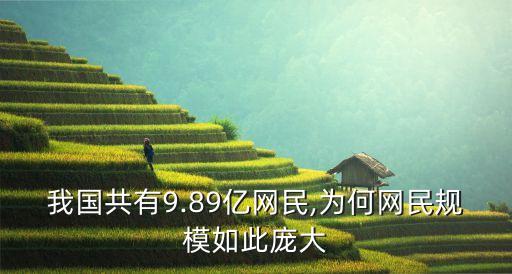 我國共有9.89億網(wǎng)民,為何網(wǎng)民規(guī)模如此龐大