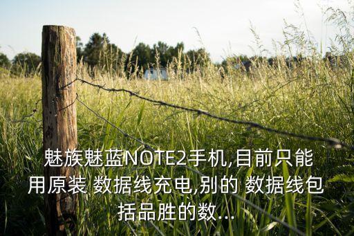 魅族魅藍(lán)NOTE2手機(jī),目前只能用原裝 數(shù)據(jù)線充電,別的 數(shù)據(jù)線包括品勝的數(shù)...
