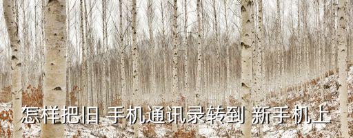 舊手機數(shù)據(jù) 新手機,手機舊數(shù)據(jù)怎么轉到新手機